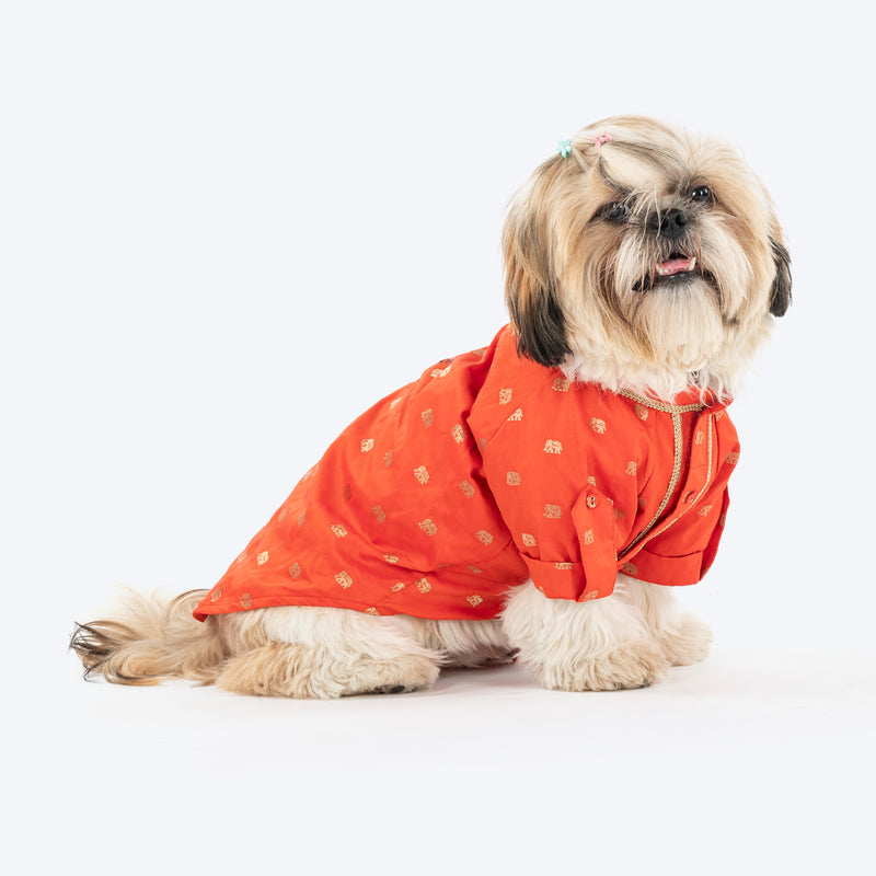 HUFT Royal Elephant Brocade Kurta For Dog - Orange - Heads Up For Tails