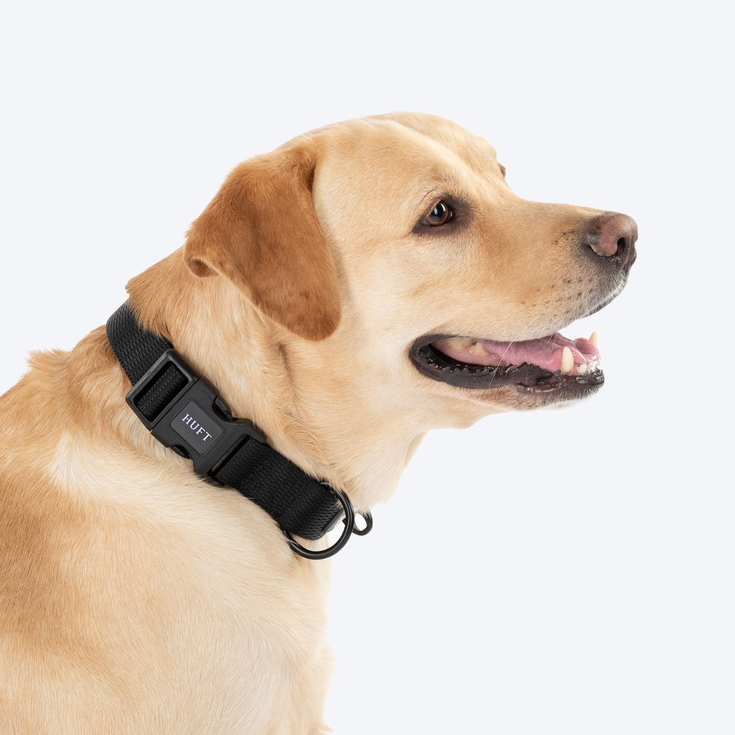 HUFT Classic Collar For Dog - Coal Black - Heads Up For Tails