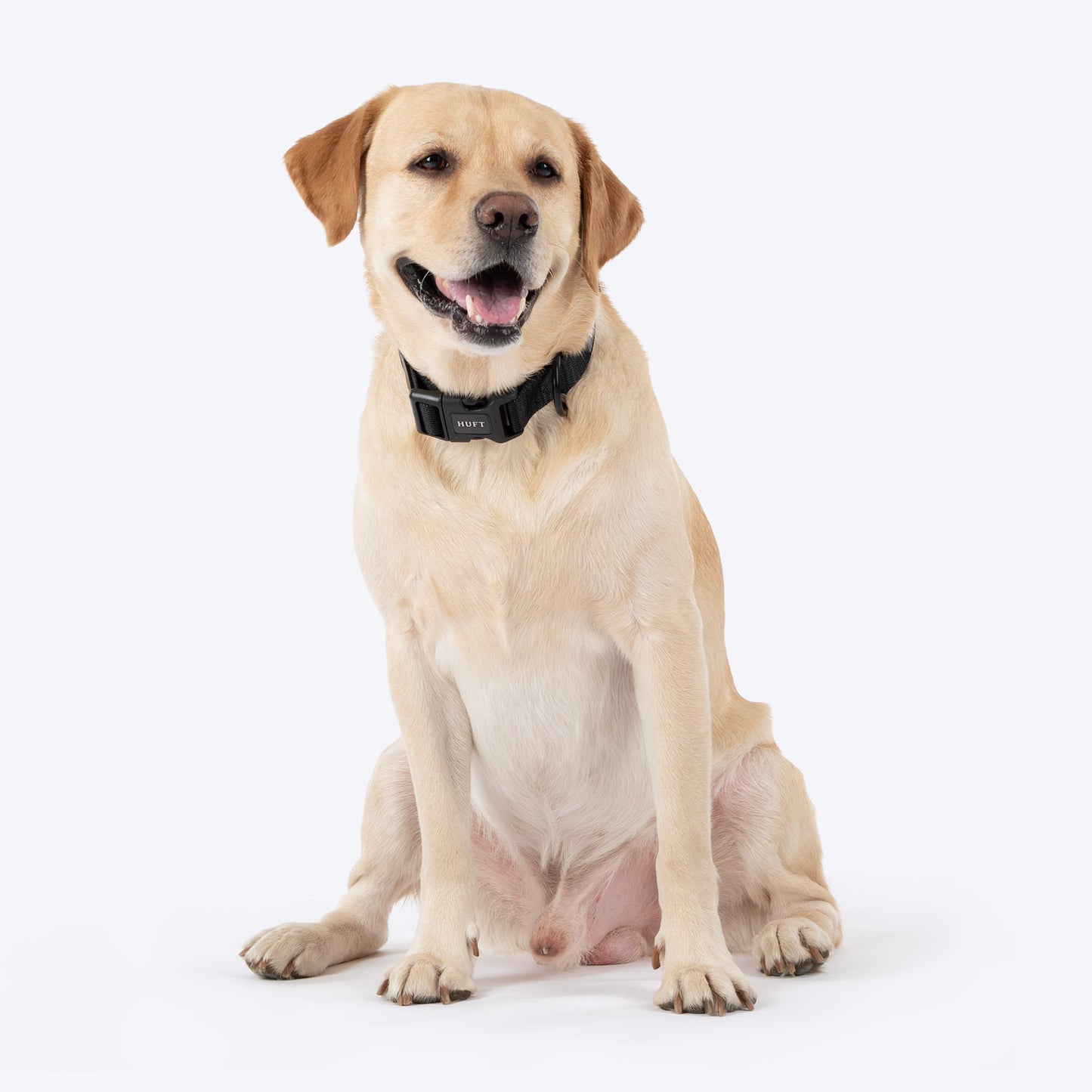 HUFT Classic Collar For Dog - Coal Black - Heads Up For Tails