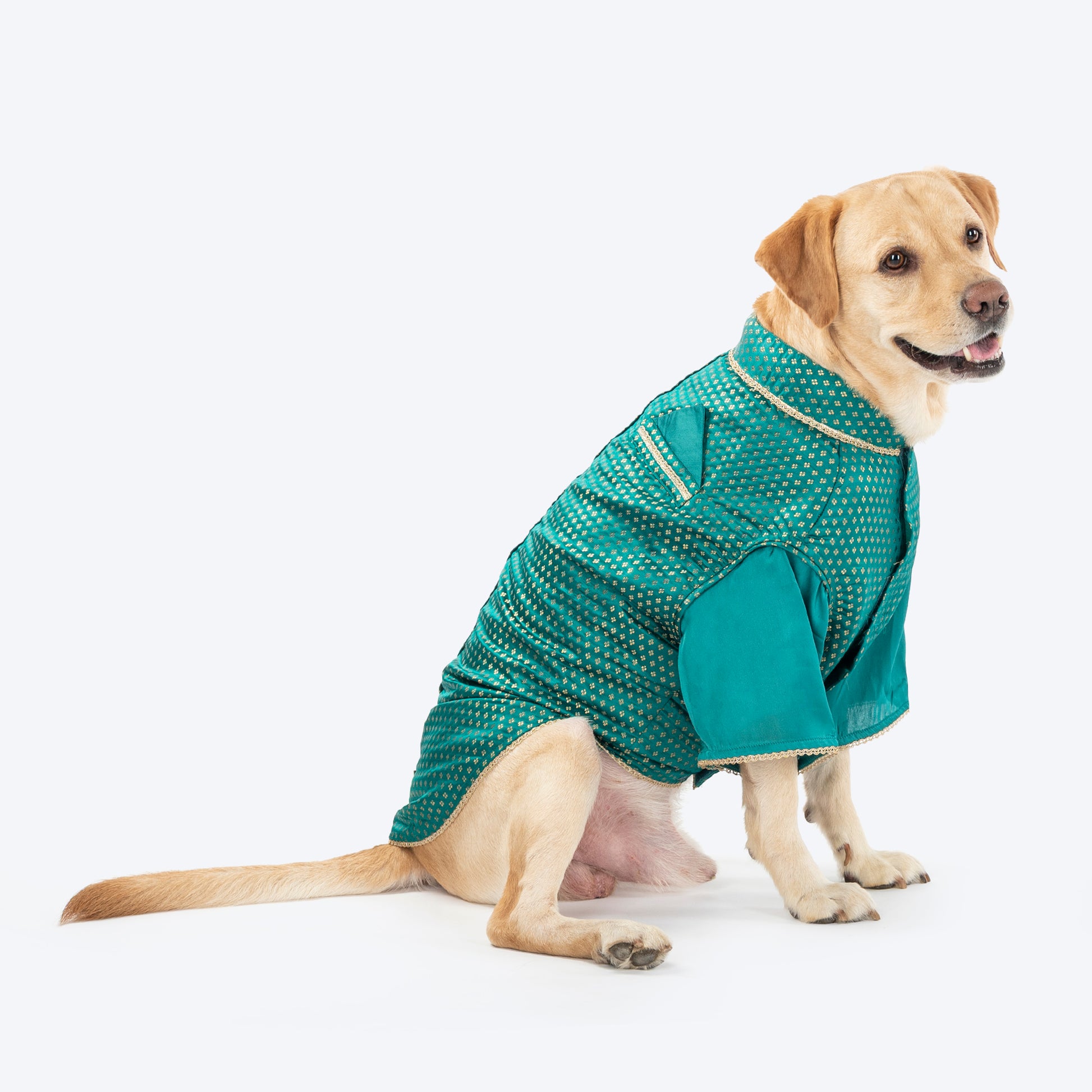HUFT Shahi Paws Kurta For Dog - Green - Heads Up For Tails