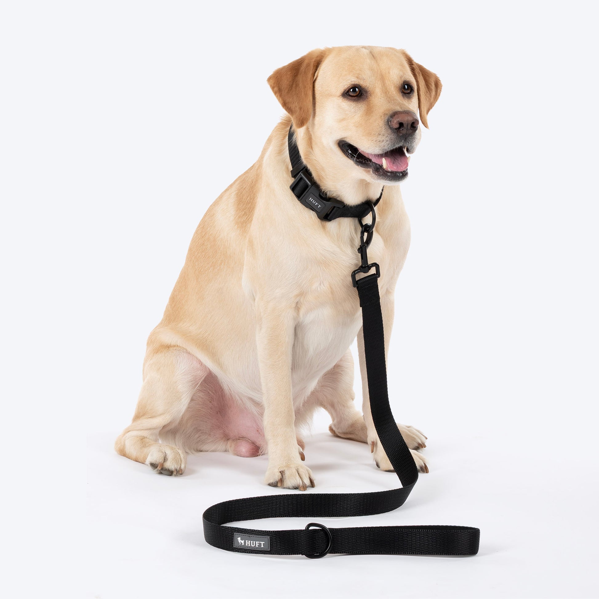 HUFT Classic Leash For Dog - Coal Black - Heads Up For Tails