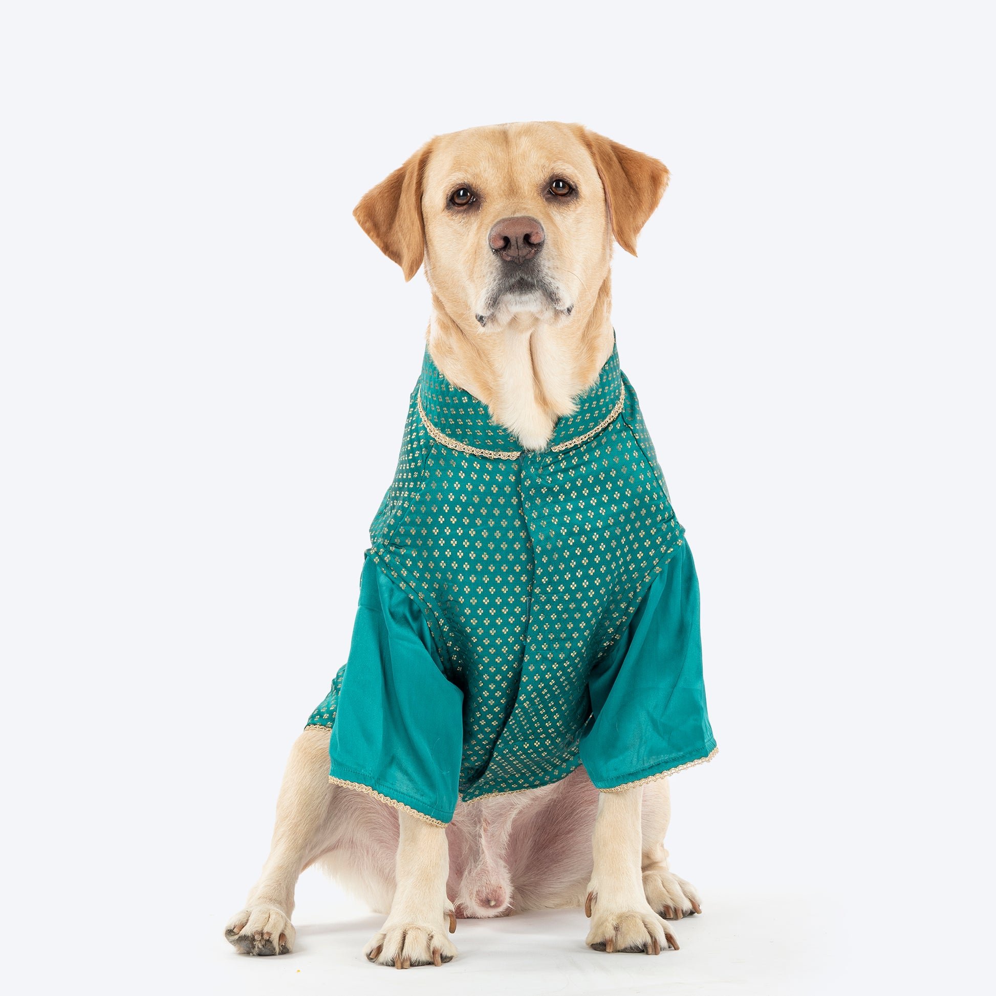 HUFT Shahi Paws Kurta For Dog - Green - Heads Up For Tails