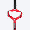 HUFT Basics Dog H-Harness - Crimson Red - Heads Up For Tails