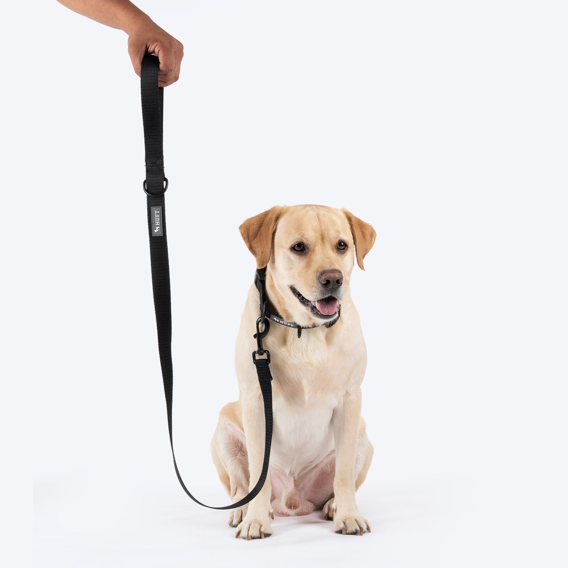 HUFT Classic Leash For Dog - Coal Black - Heads Up For Tails