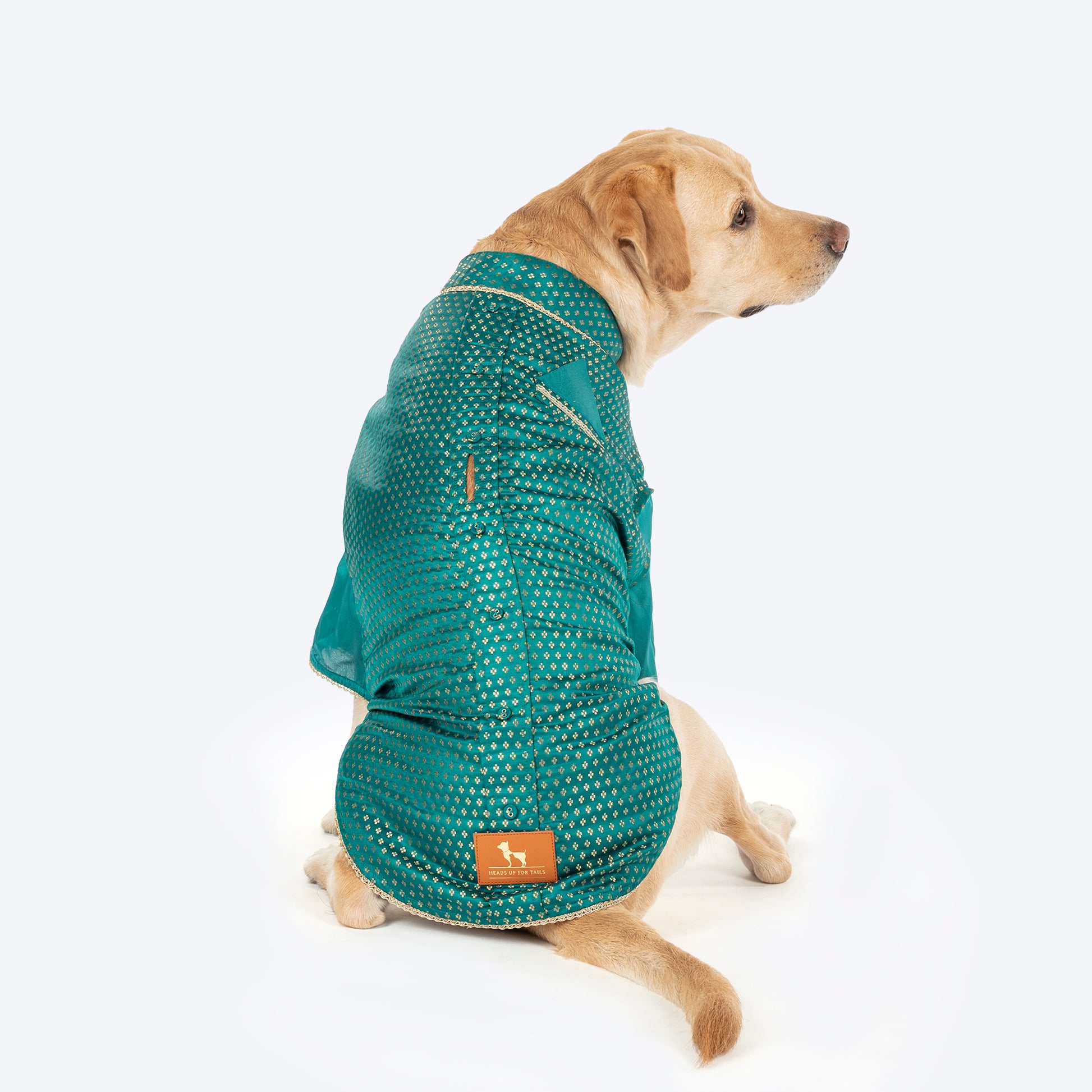 HUFT Shahi Paws Kurta For Dog - Green - Heads Up For Tails