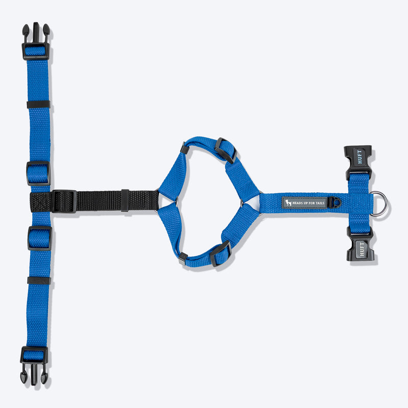 HUFT Basics Dog H-Harness & Leash Set - Cobalt Blue - Heads Up For Tails