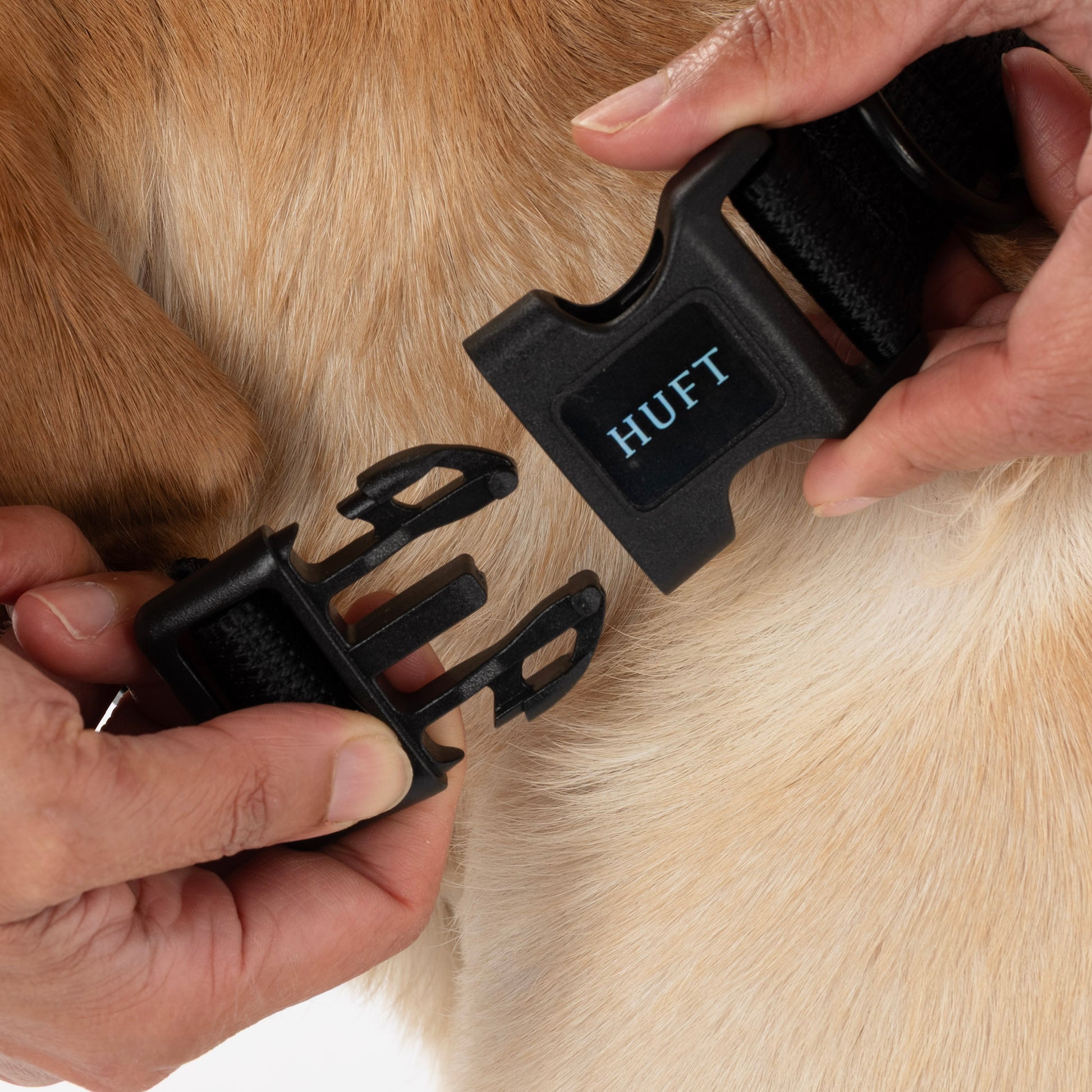 HUFT Classic Personalised (Mobile No.) Dog Collar - Coal Black - Heads Up For Tails