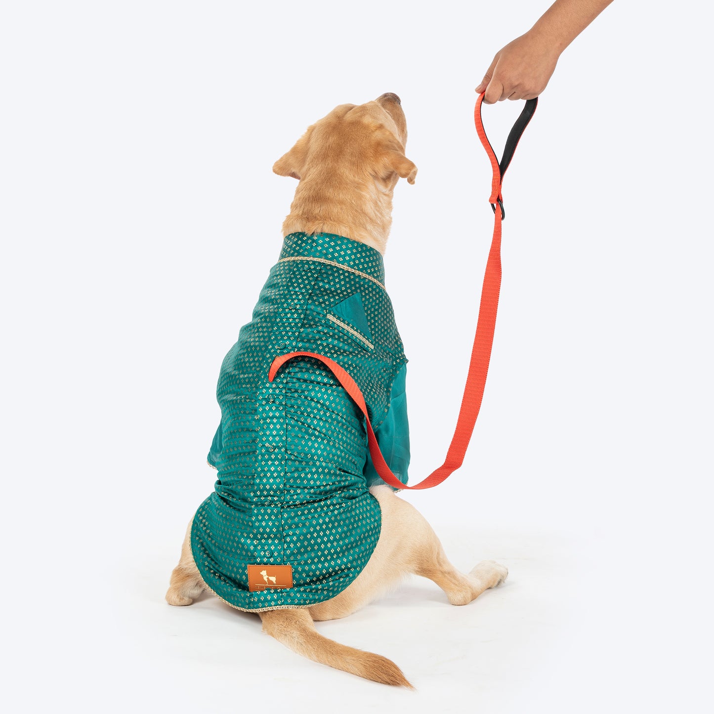HUFT Shahi Paws Kurta For Dog - Green - Heads Up For Tails