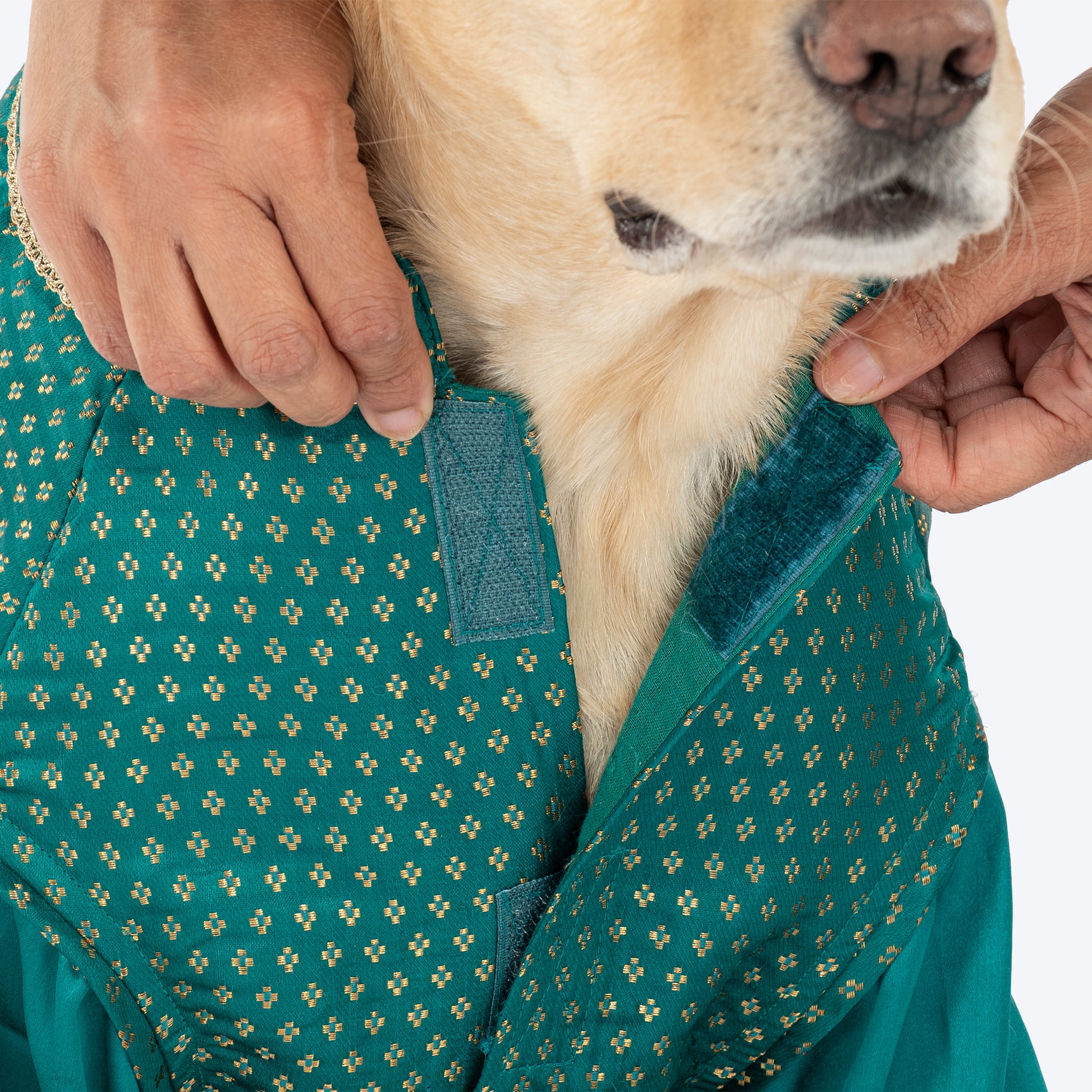 HUFT Shahi Paws Kurta For Dog - Green - Heads Up For Tails