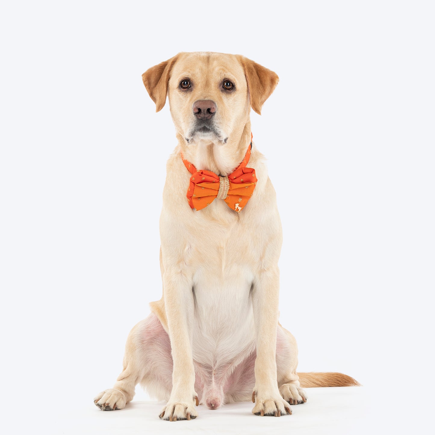 HUFT Desi Dazzle Bow Tie With Strap For Dog - Orange