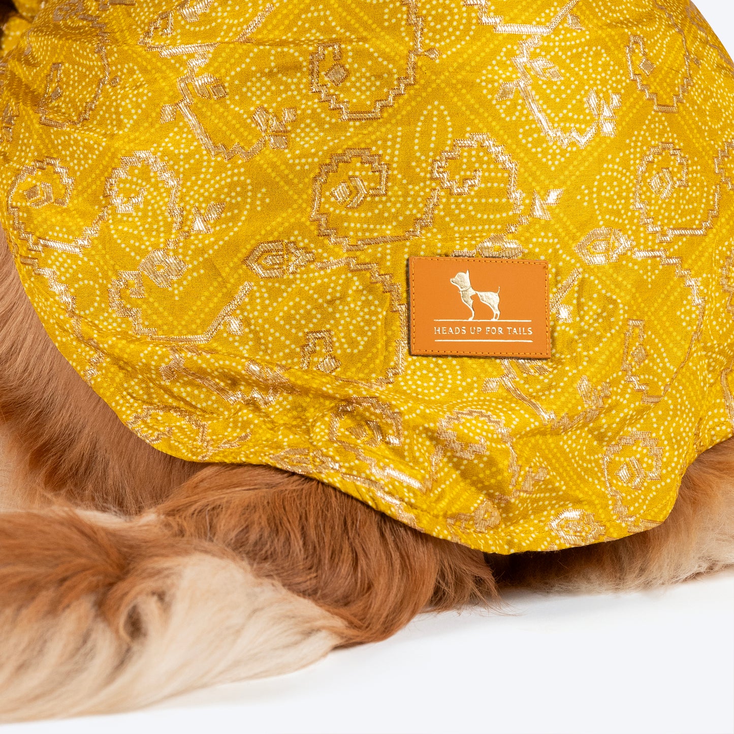 HUFT Festive Bliss Kurta For Dog - Yellow - Heads Up For Tails