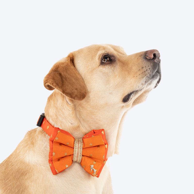 HUFT Desi Dazzle Bow Tie With Strap For Dog - Orange - Heads Up For Tails