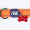 Dash Dog Padded Collar For Dog - Blue & Orange
