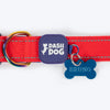 Dash Dog Padded Collar For Dog - Red & Purple