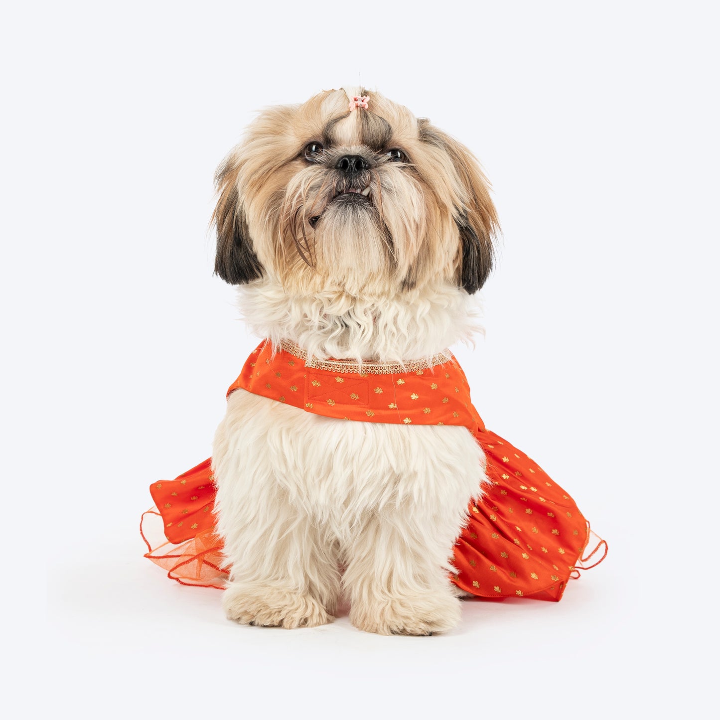 HUFT Desi Dazzle Dress For Dog - Orange - Heads Up For Tails