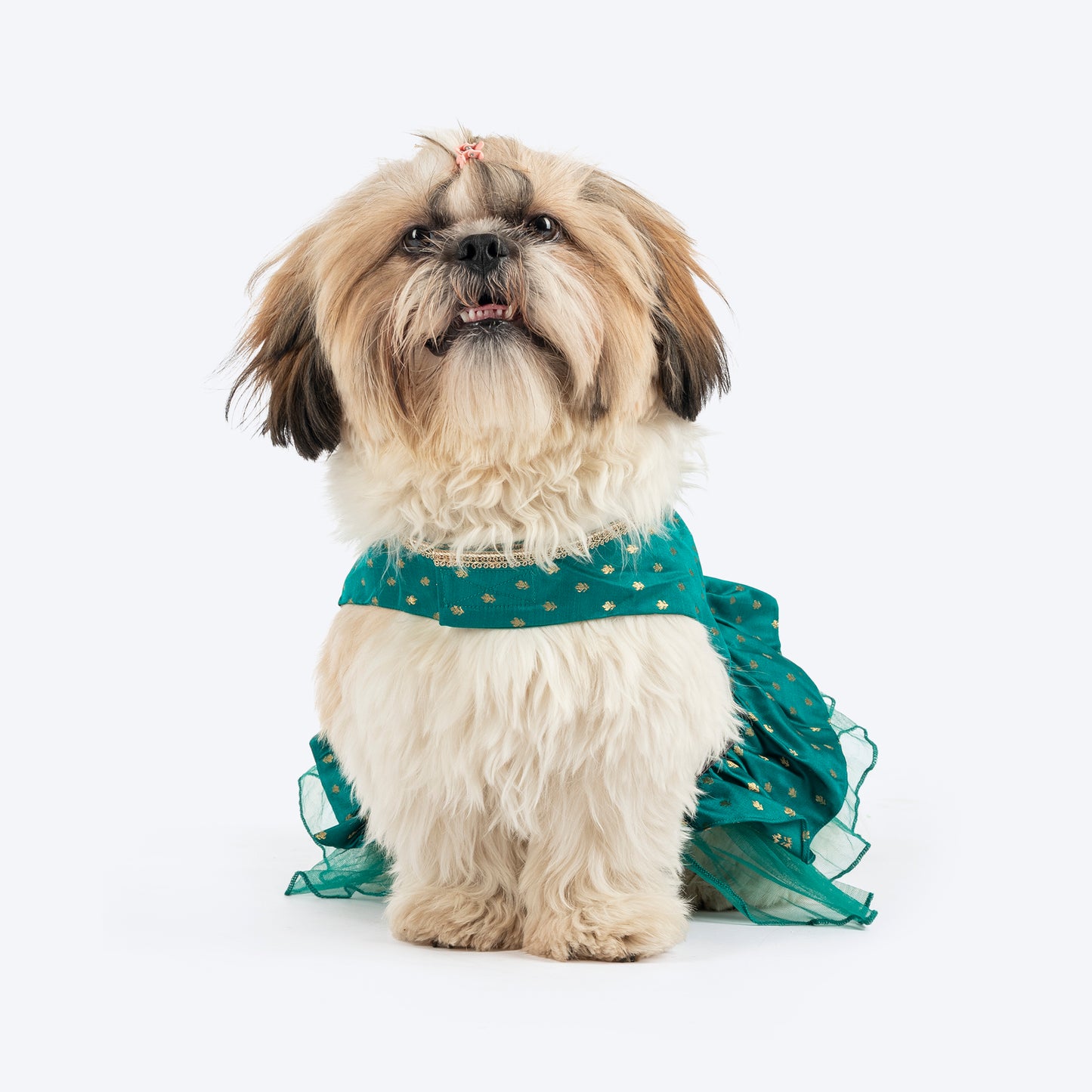 HUFT Desi Dazzle Dress For Dog - Green - Heads Up For Tails