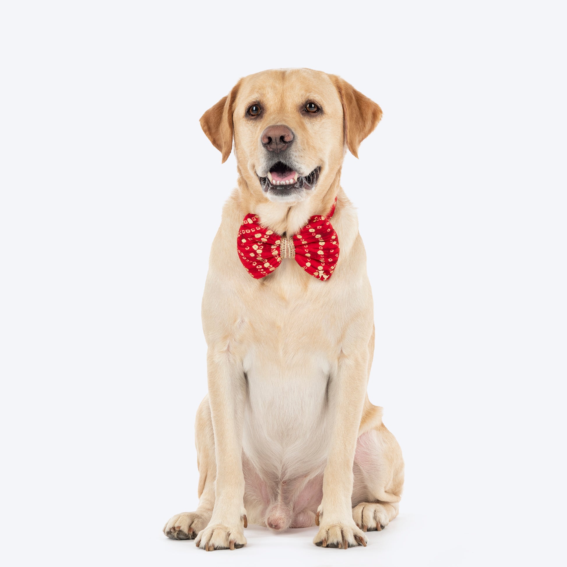 HUFT Super Sitara Bow Tie With Strap For Dog - Red - Heads Up For Tails