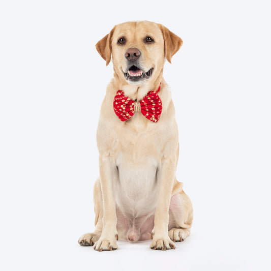 HUFT Super Sitara Bow Tie With Strap For Dog - Red - Heads Up For Tails