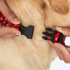 HUFT Super Sitara Bow Tie With Strap For Dog - Red - Heads Up For Tails