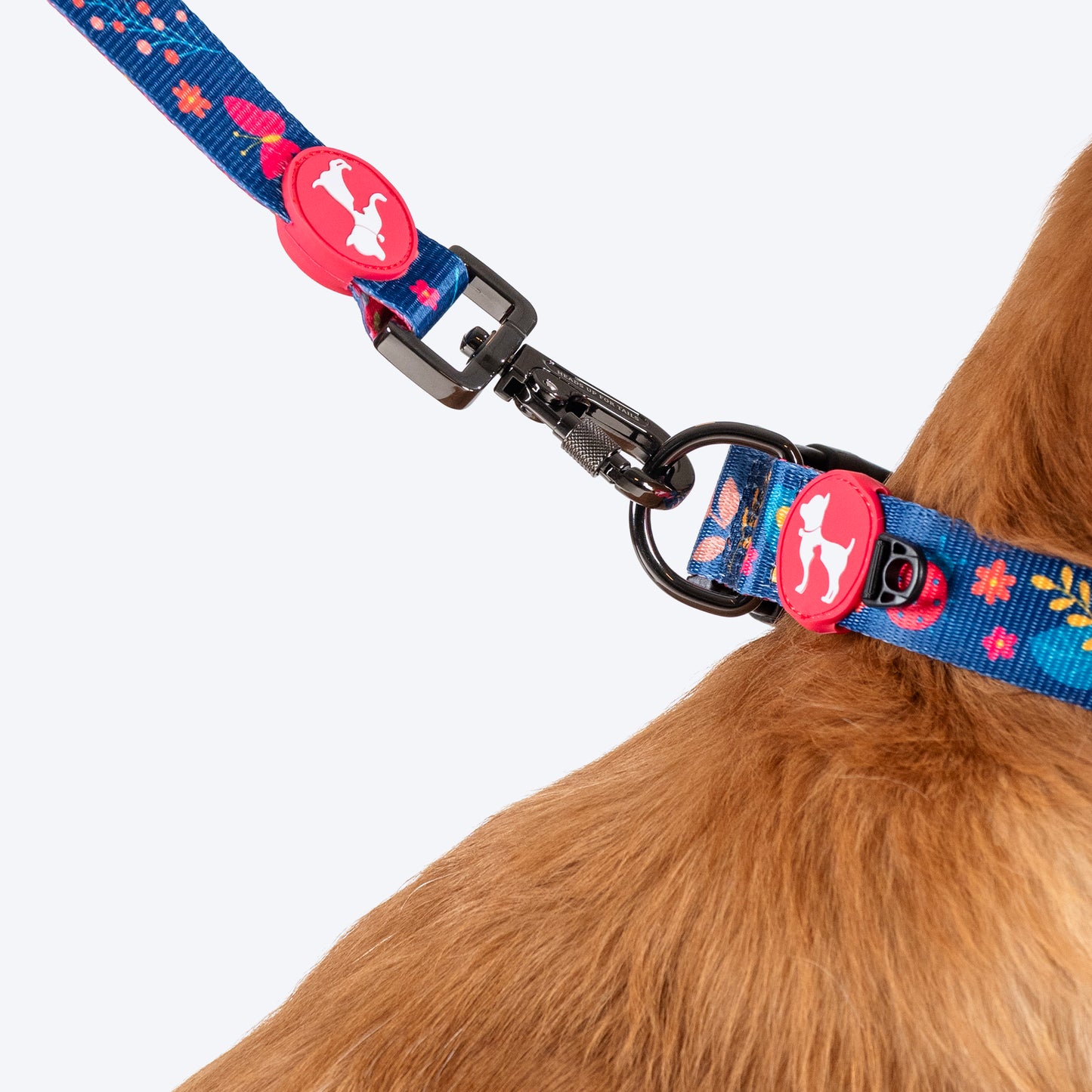 HUFT Bloomscape Leash For Dog - Navy - Heads Up For Tails