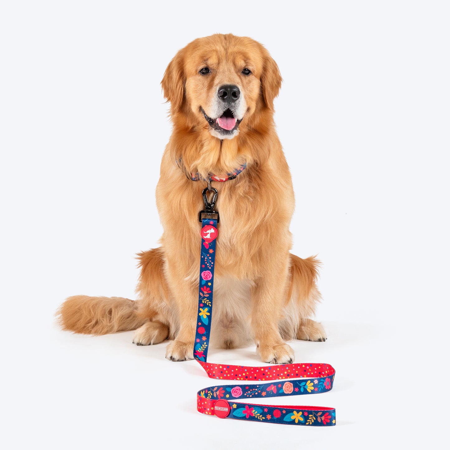 HUFT Bloomscape Leash For Dog - Navy - Heads Up For Tails