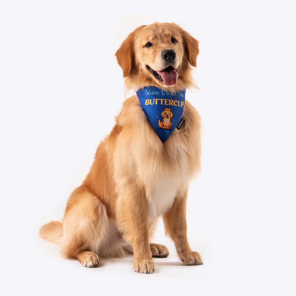 HUFT Personalised Shine Bright Like (Pet's Name) Bandana - Heads Up For Tails