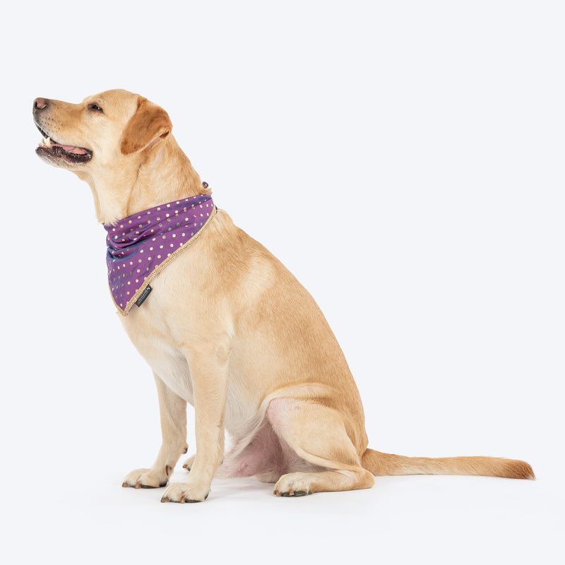 HUFT Desi Glam Knot Bandana For Dog - Purple - Heads Up For Tails