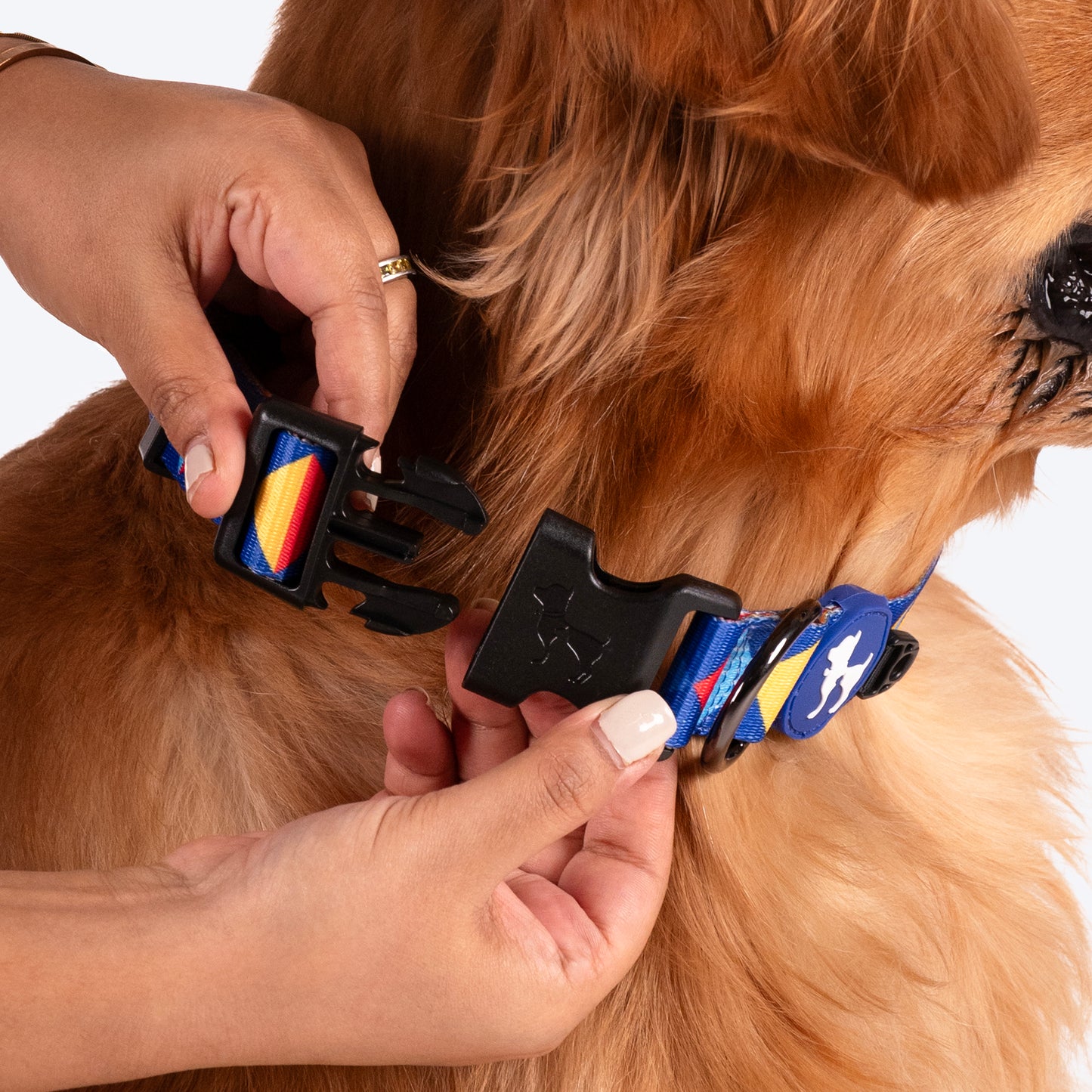 HUFT Prism Patterns Collar For Dog - Blue - Heads Up For Tails