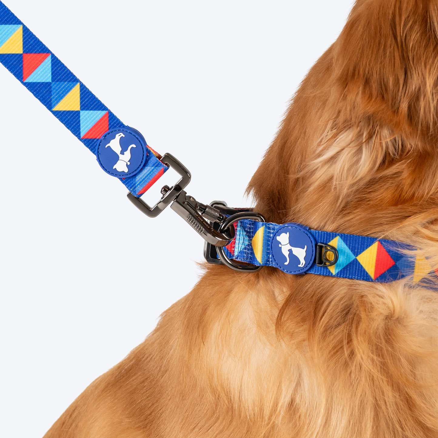 HUFT Prism Patterns Leash For Dog - Blue - Heads Up For Tails