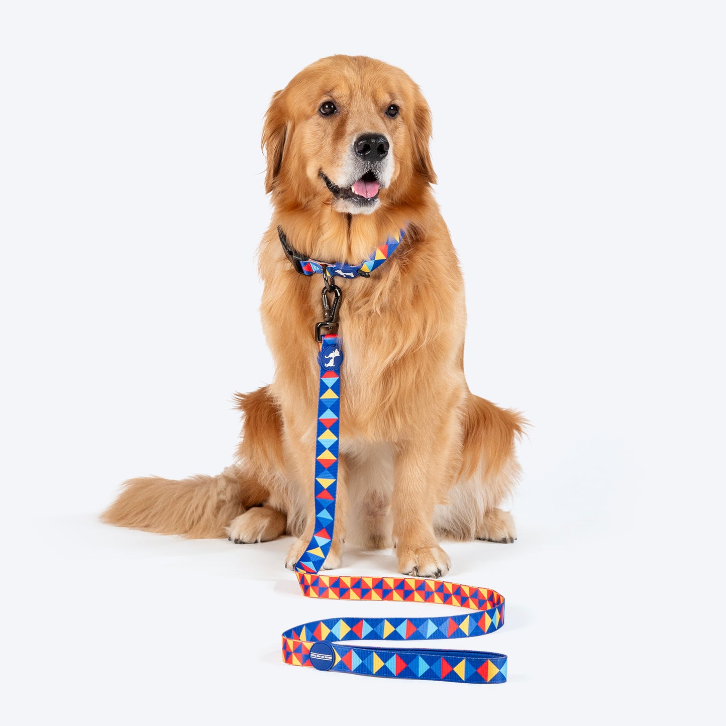 HUFT Prism Patterns Leash For Dog - Blue - Heads Up For Tails