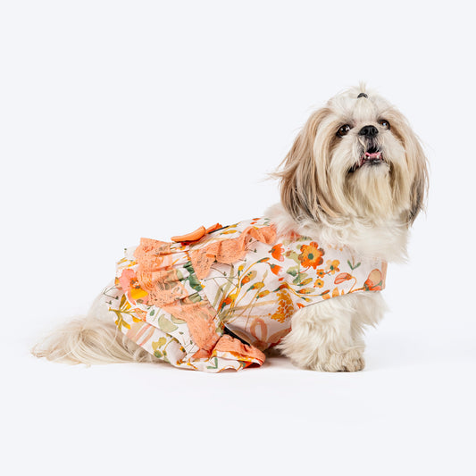 HUFT Printed Floral Cotton Dress For Dog - Multicolor