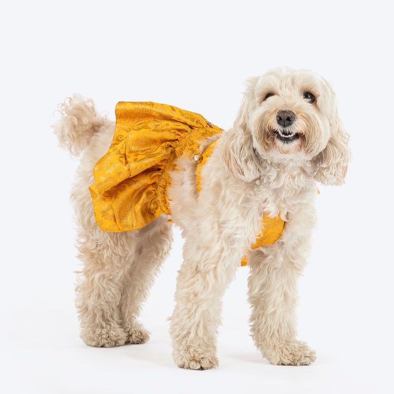 HUFT Customised Zari Paw Blossom Brocade Lehenga Choli Set For Dog & Cat - Yellow - Heads Up For Tails