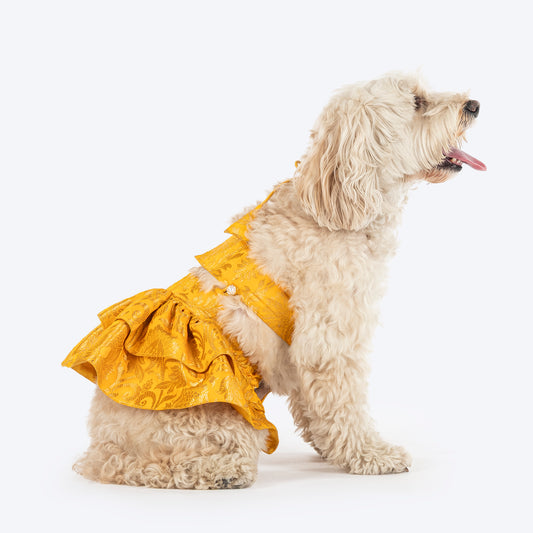 HUFT Customised Zari Paw Blossom Brocade Lehenga Choli Set For Dog & Cat - Yellow - Heads Up For Tails