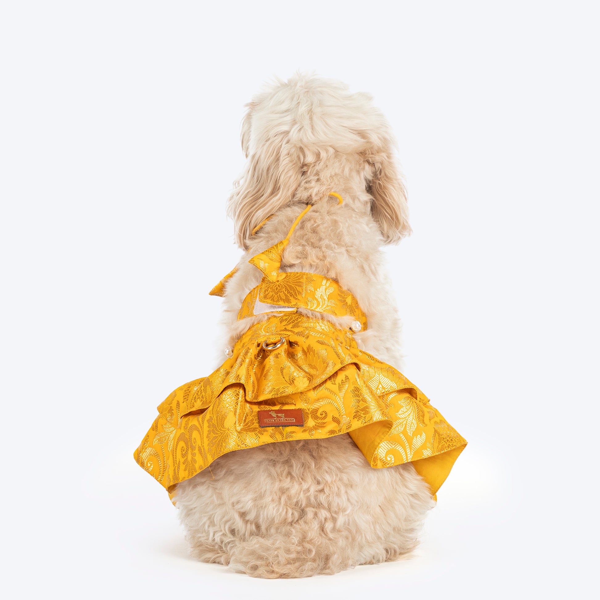 HUFT Customised Zari Paw Blossom Brocade Lehenga Choli Set For Dog & Cat - Yellow - Heads Up For Tails
