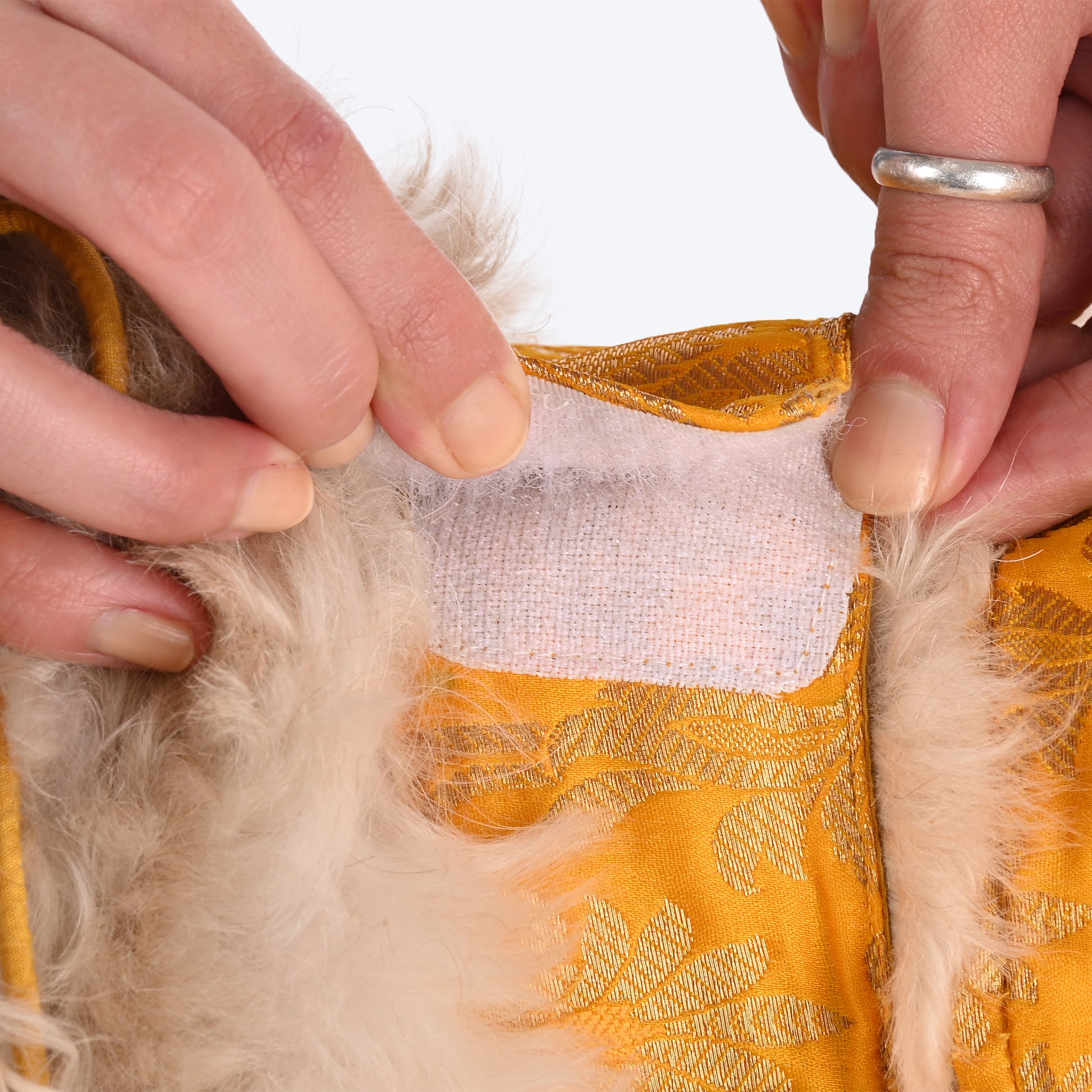 HUFT Customised Zari Paw Blossom Brocade Lehenga Choli Set For Dog & Cat - Yellow - Heads Up For Tails