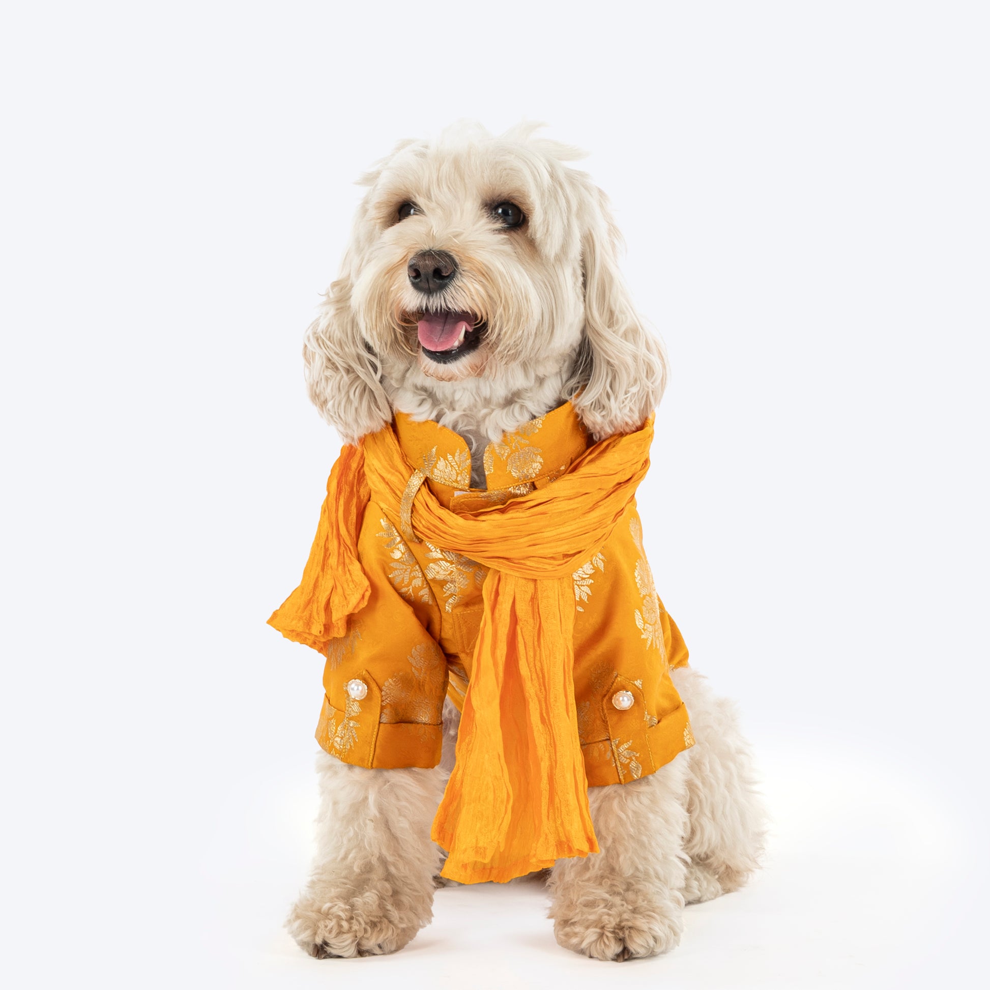 HUFT Customised Woofy Zari Glow Brocade Kurta With Dupatta For Dog - Yellow - Heads Up For Tails