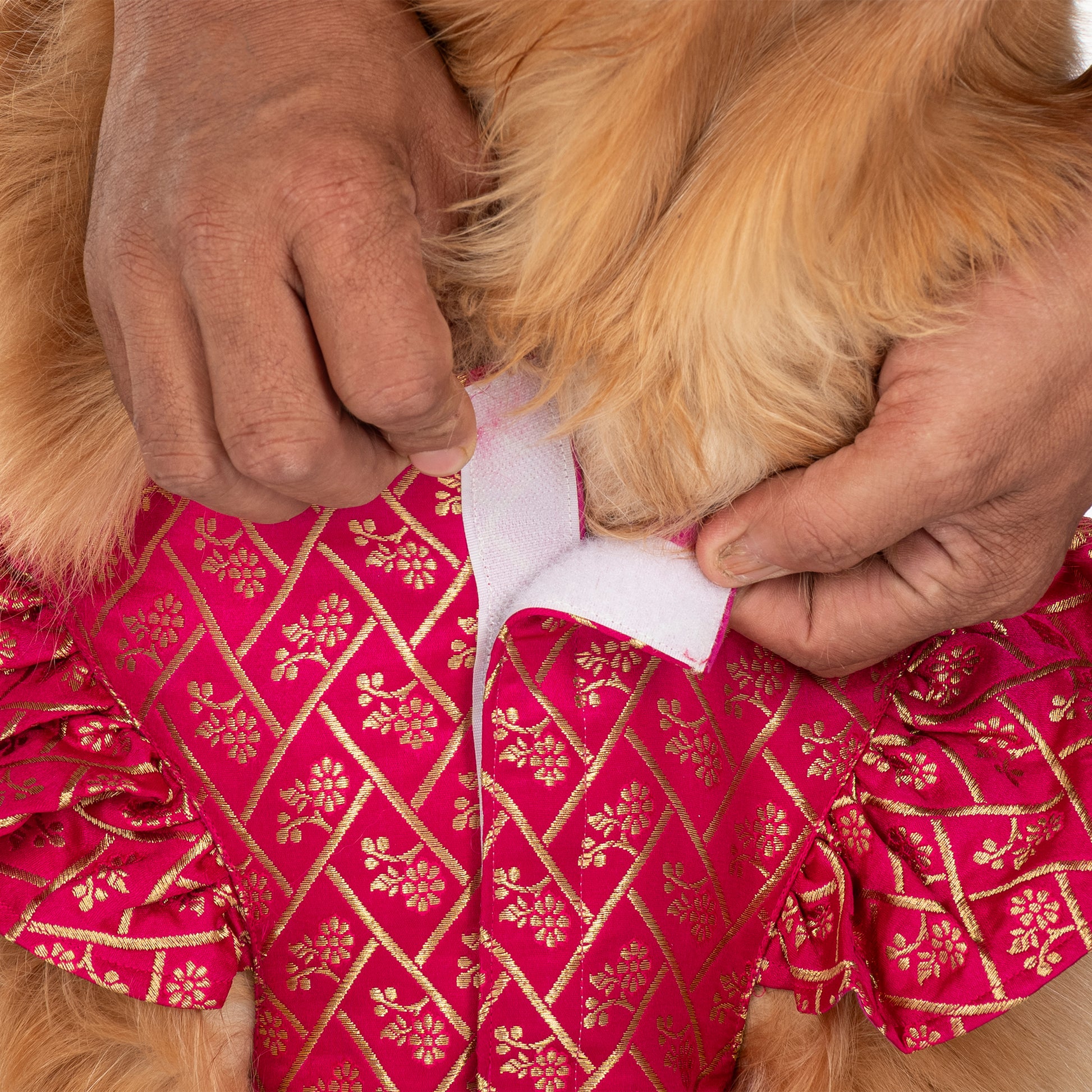 HUFT Customised Petals & Pyaar Brocade Lehenga Dress For Dog - Magenta - Heads Up For Tails