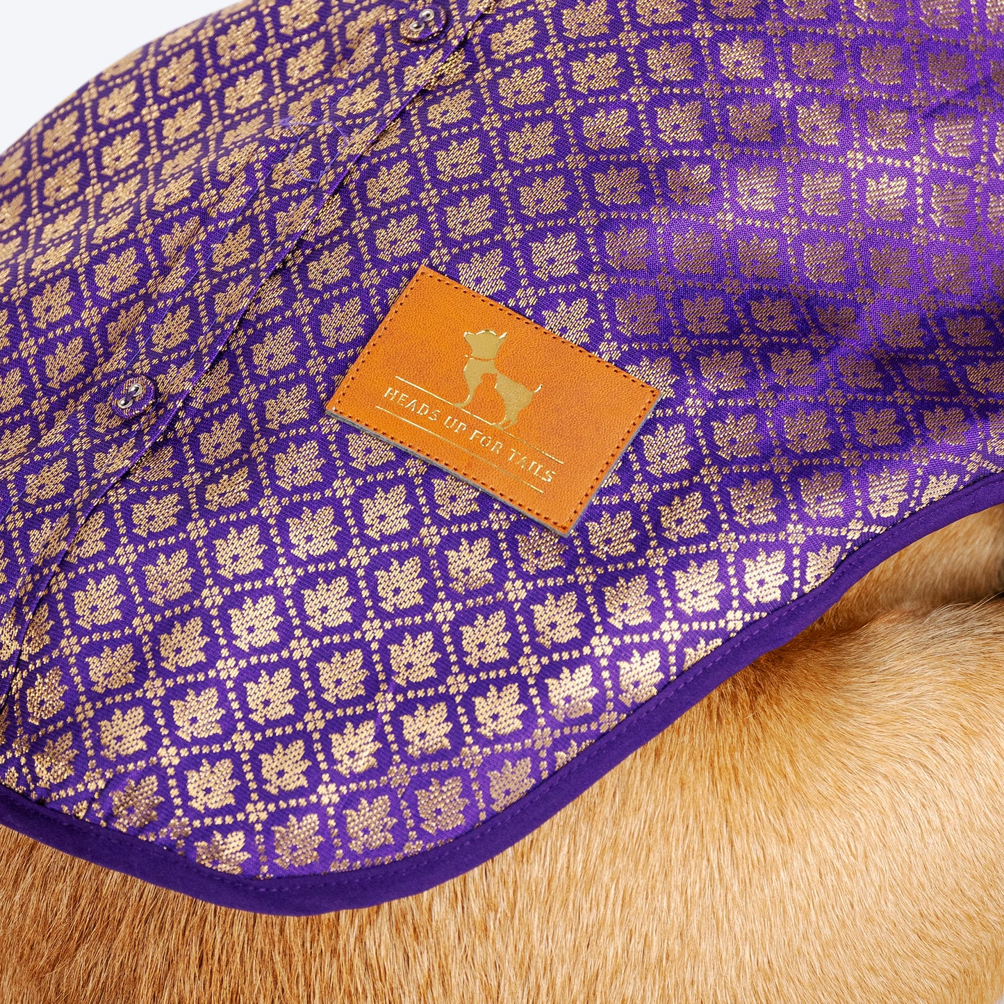 HUFT Royal Elegance Sherwani For Dog - Purple_04