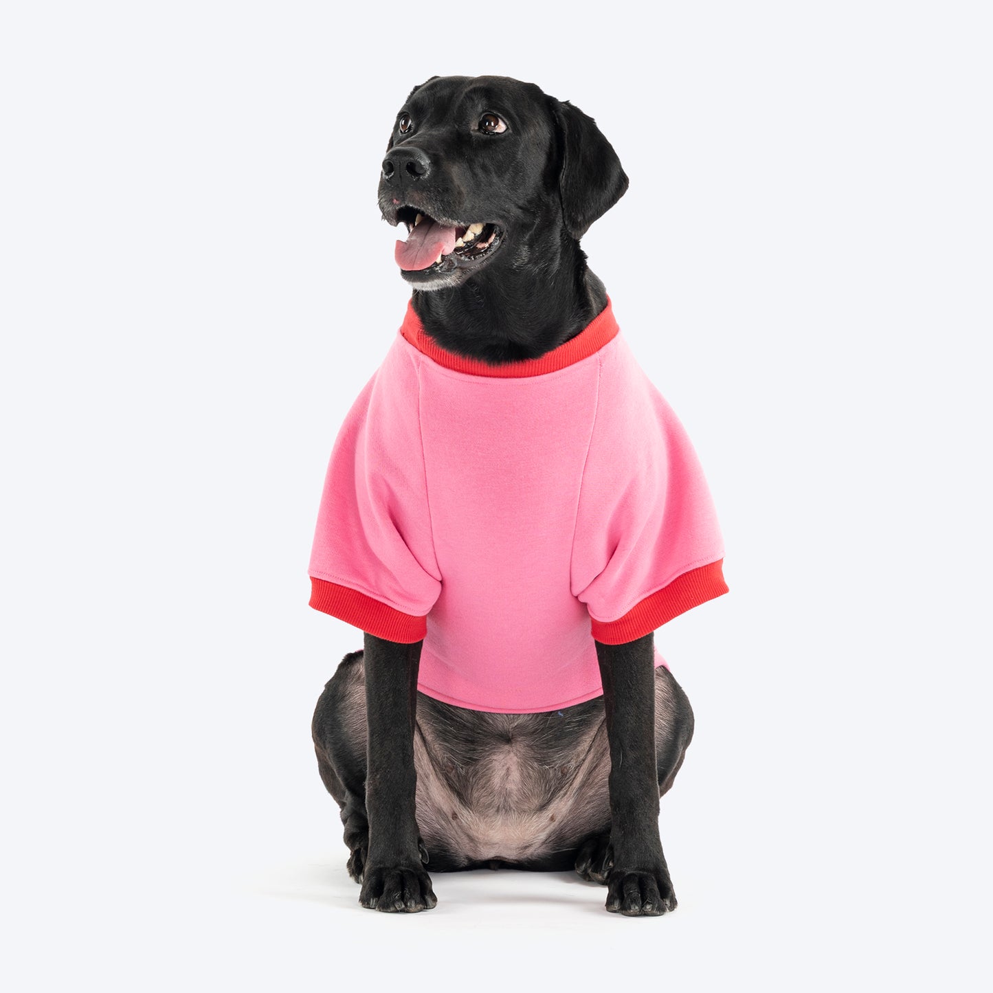 HUFT Flower Power Sweatshirt For Dog - Pink - Heads Up For Tails