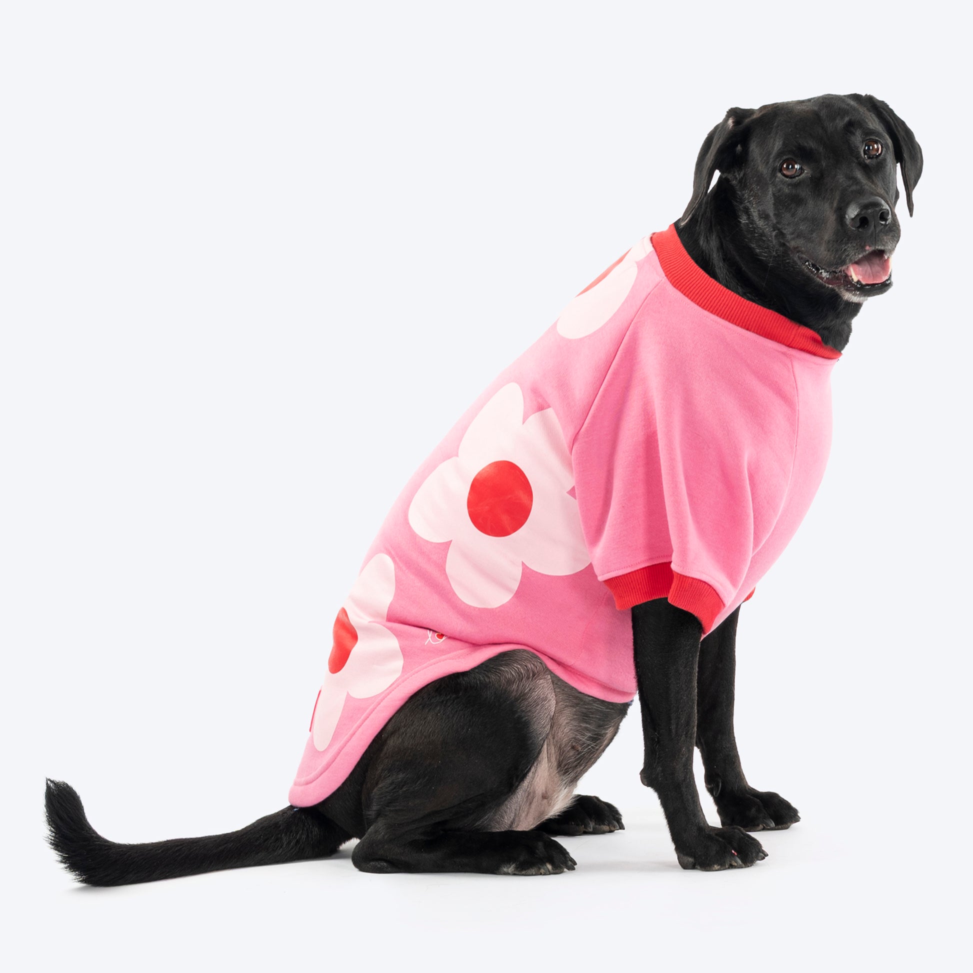 HUFT Flower Power Sweatshirt For Dog - Pink - Heads Up For Tails