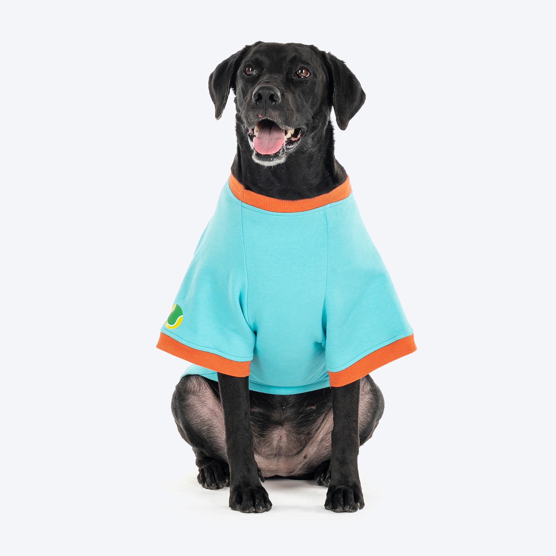 HUFT Cutest Cuddle Buddy Sweatshirt For Big Dog - Teal - Heads Up For Tails