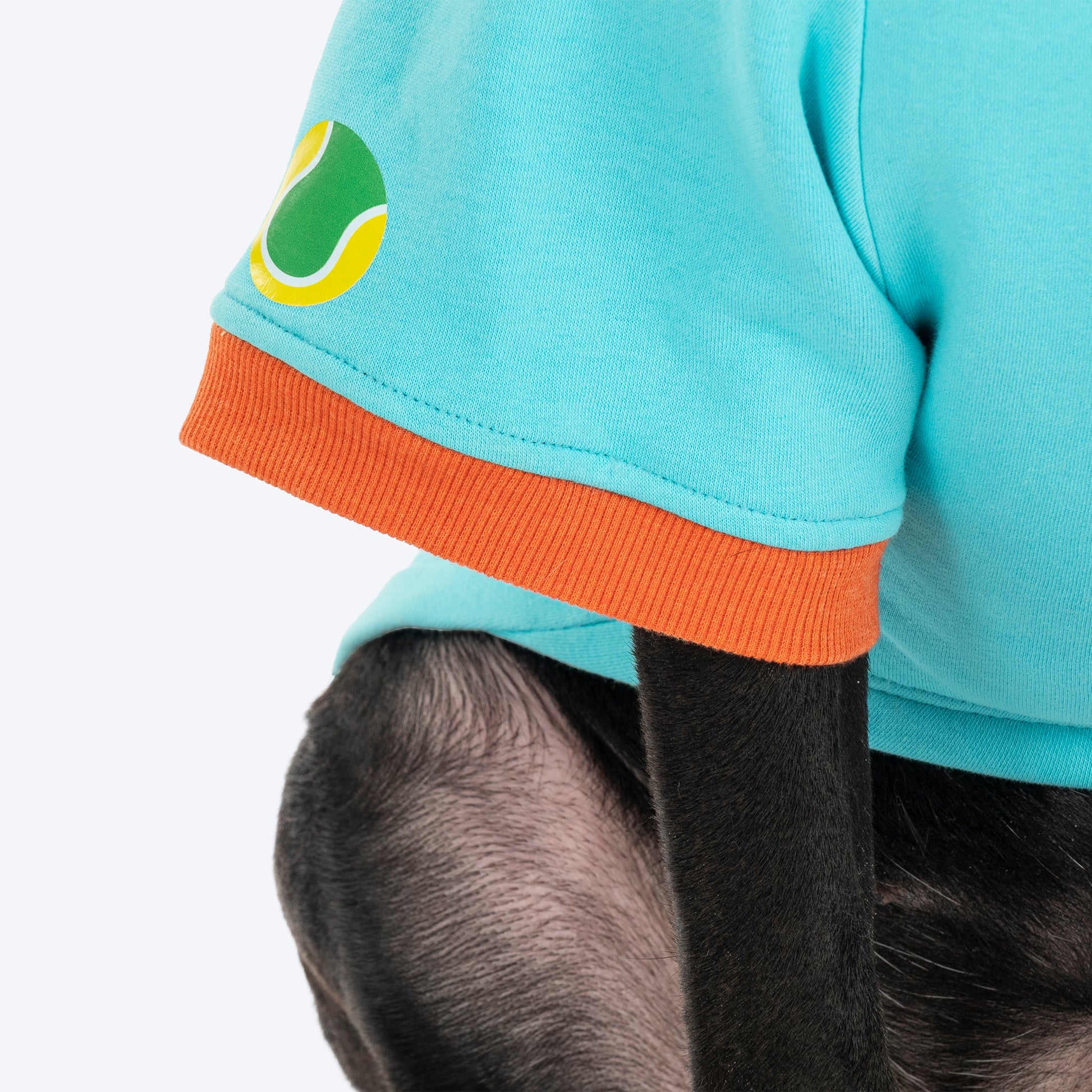 HUFT Cutest Cuddle Buddy Sweatshirt For Big Dog - Teal - Heads Up For Tails