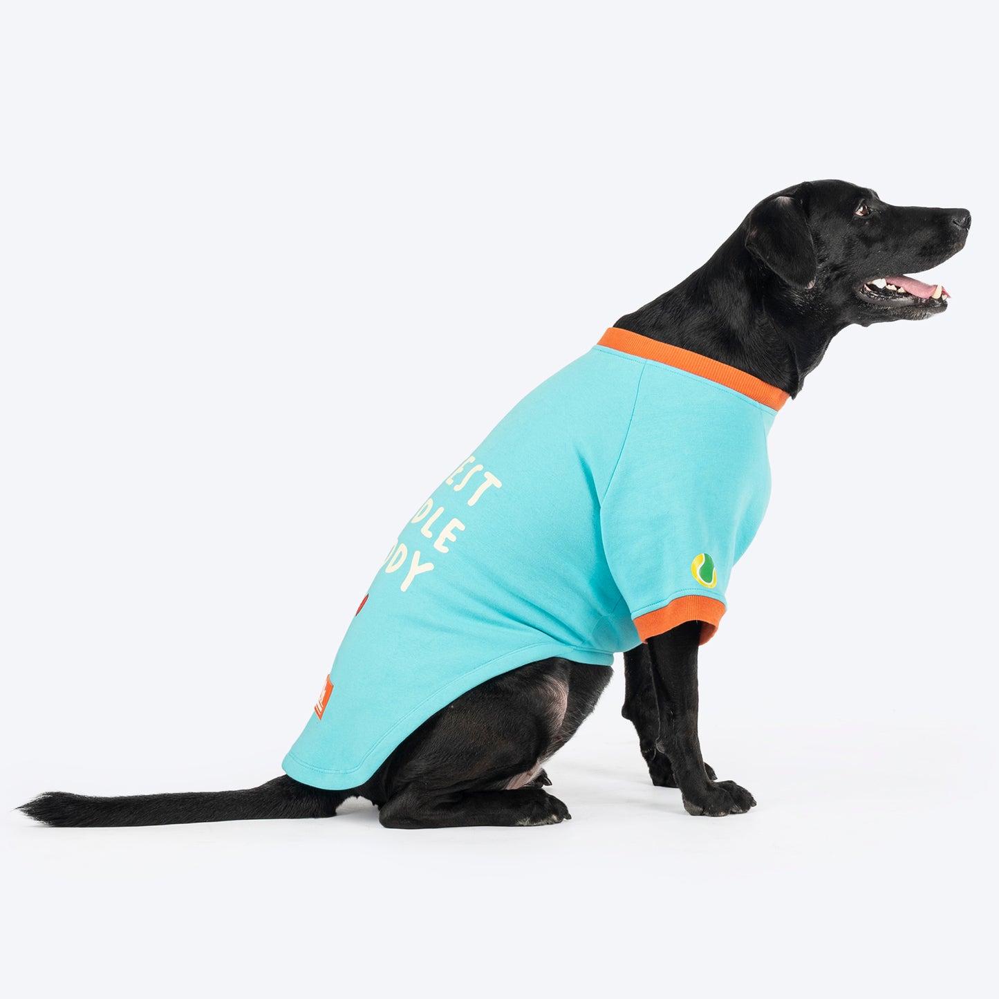 HUFT Cutest Cuddle Buddy Sweatshirt For Big Dog - Teal - Heads Up For Tails