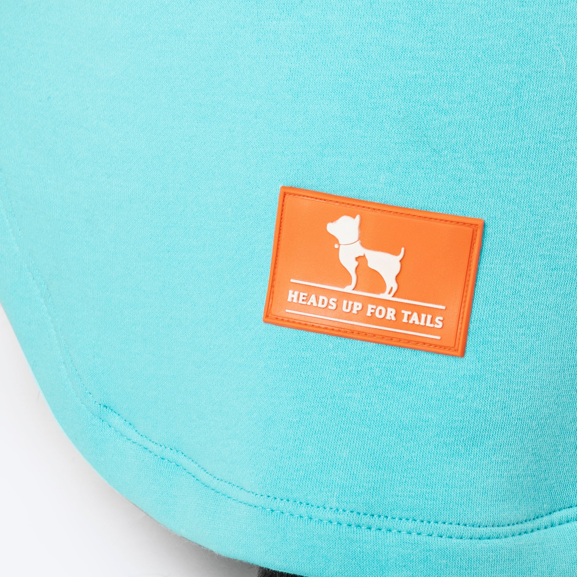 HUFT Cutest Cuddle Buddy Sweatshirt For Big Dog - Teal - Heads Up For Tails