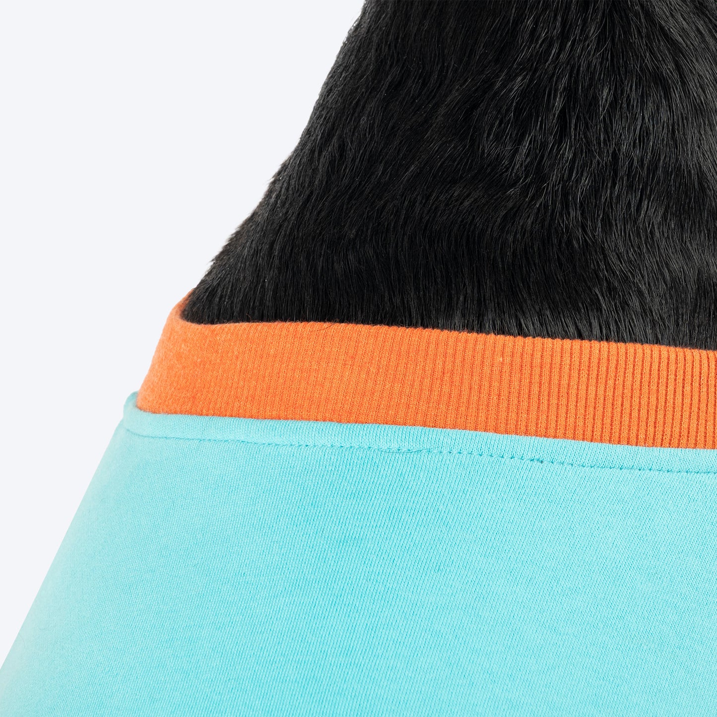 HUFT Cutest Cuddle Buddy Sweatshirt For Big Dog - Teal - Heads Up For Tails