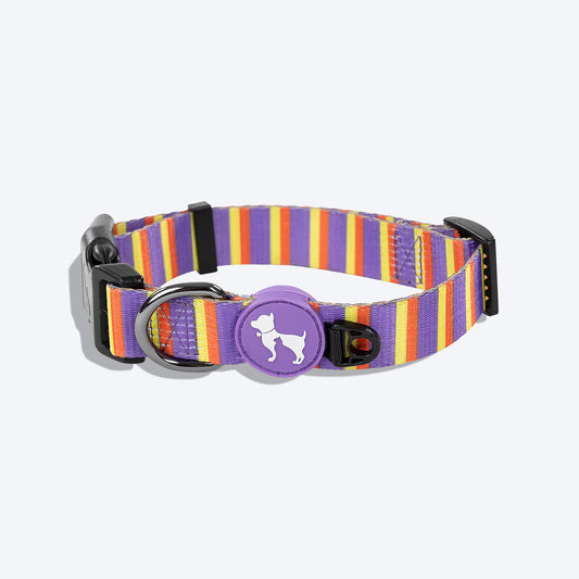 HUFT Sunny Stride Printed Dog Collar - Heads Up For Tails