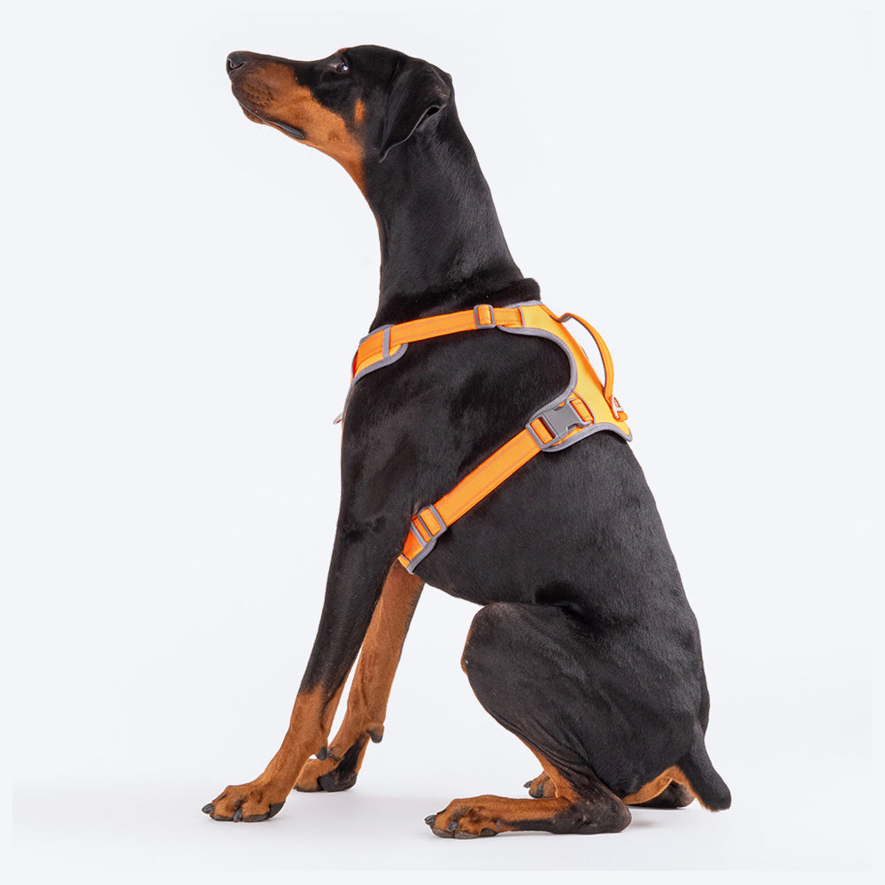 HUFT Active Pet Dog Harness - Orange_08