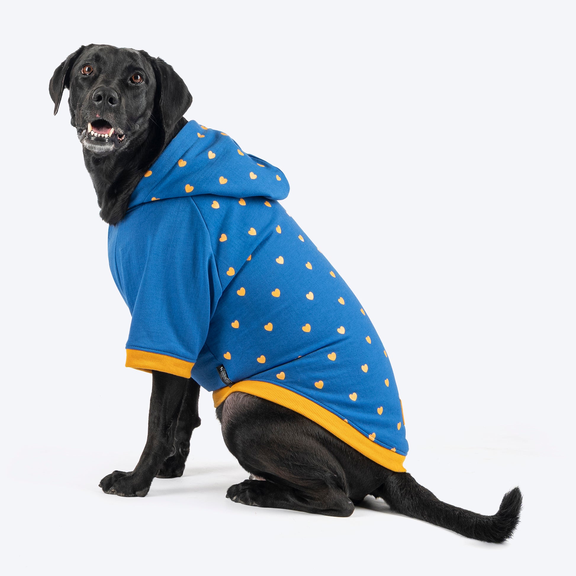 HUFT Honey Hearts Sweatshirt With Hood For Dog - Blue - Heads Up For Tails