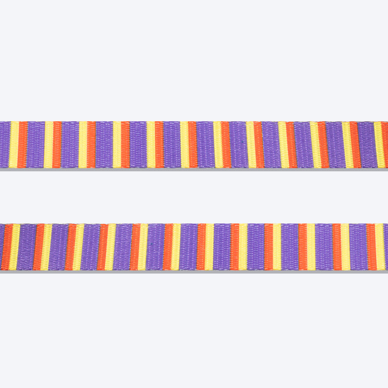 HUFT Sunny Stride Printed Dog Leash - Heads Up For Tails