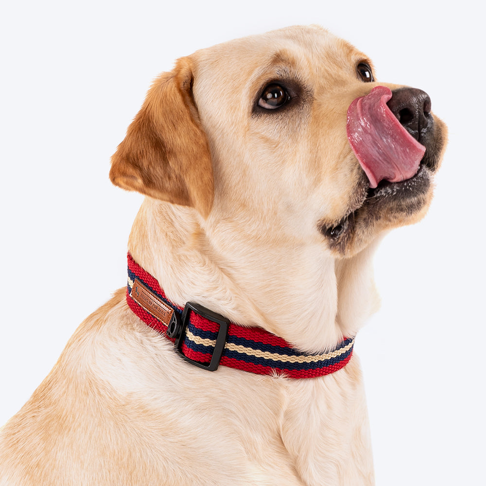 HUFT Retro Vibes Dog Collar - Maroon & Navy - Heads Up For Tails